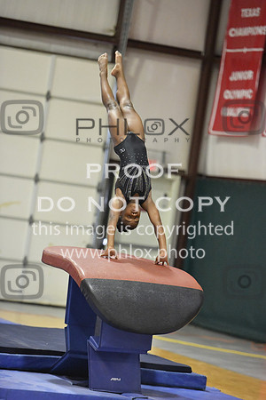 D85_0358