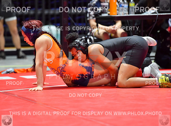 FDS_6035