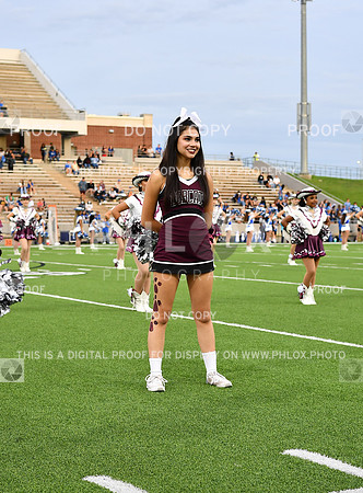 FDS_6629