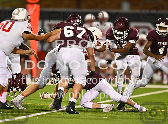 DLS_0961