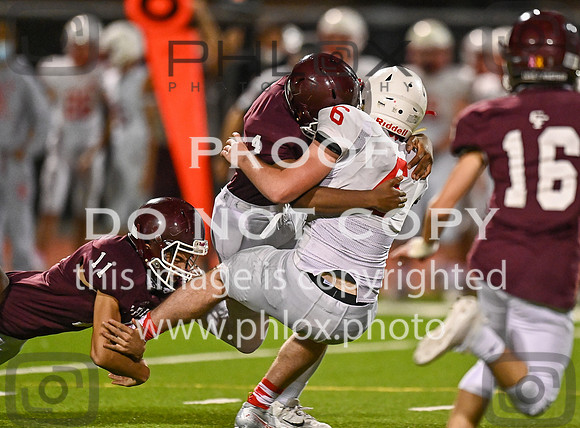 DLS_0933
