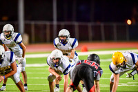 FDS_8050