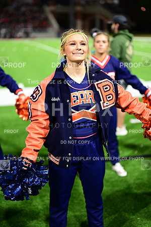 TOM_3493