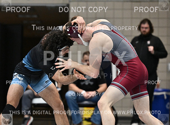 DLS_1051