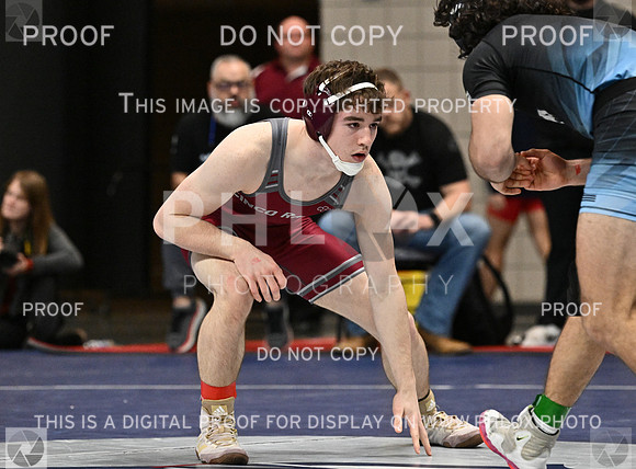 DLS_1058