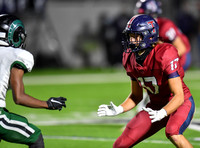 17 Nathan Vines Spotlight W9