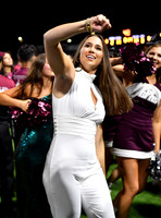 FDS_8680