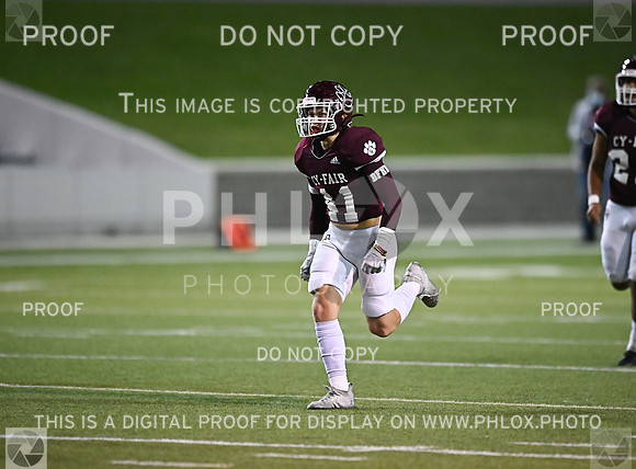 DLS_0641