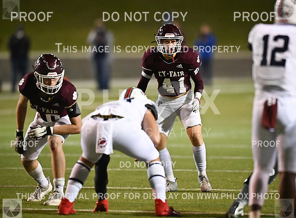 DLS_0800