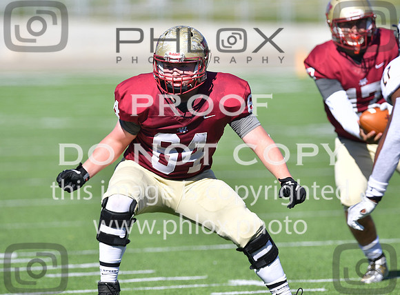 TOM_1517