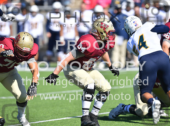 TOM_1185
