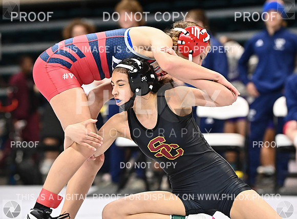 DLS_0156