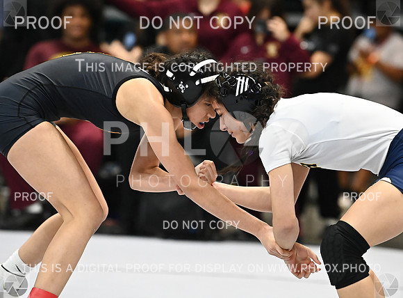 DLS_0459