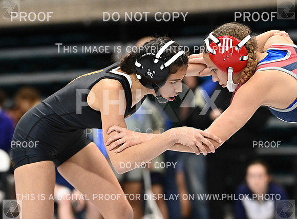 DLS_0125