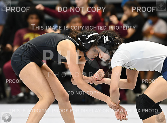 DLS_0460