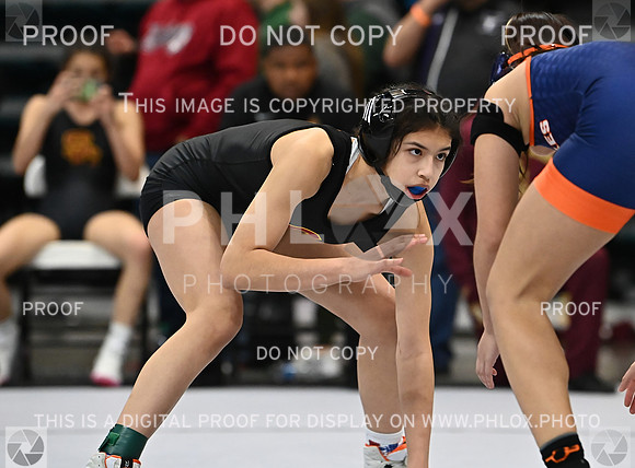 DLS_1066