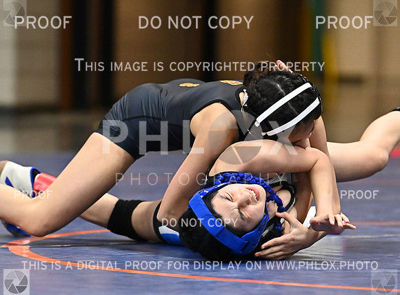 DLS_1018
