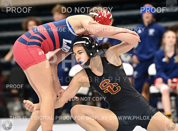 DLS_0155