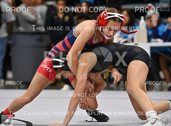 DLS_0132