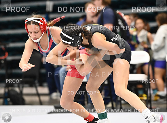 DLS_0144