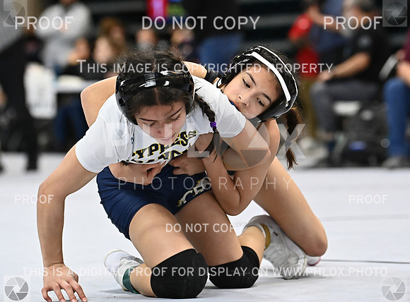 DLS_0493