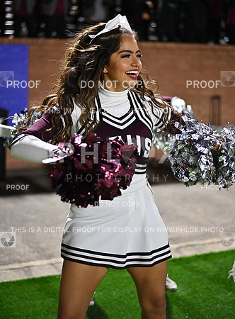 DLS_3541