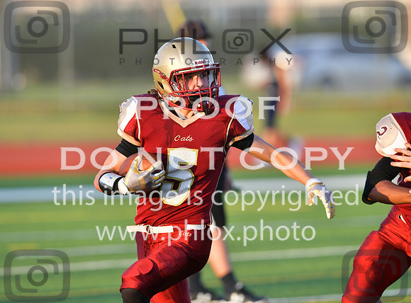 TOM_6893