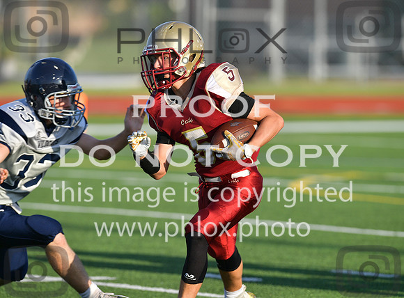 TOM_6269