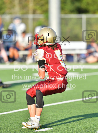 TOM_6531