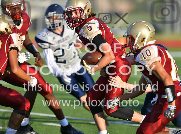 TOM_6272