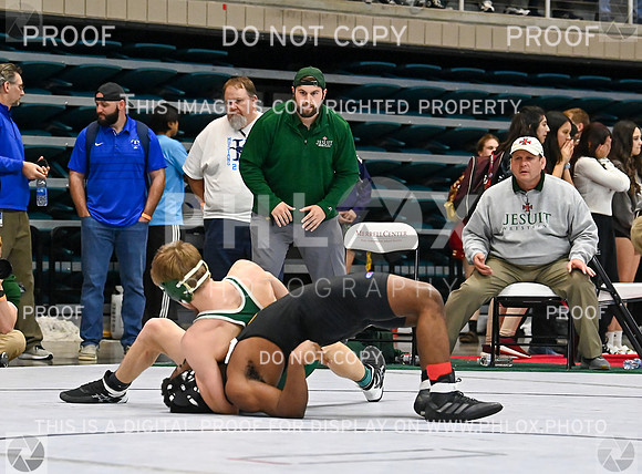 DLS_0799