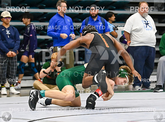 DLS_0796