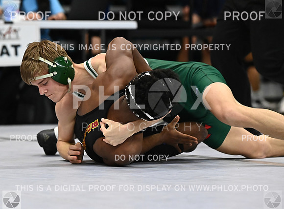 DLS_0766
