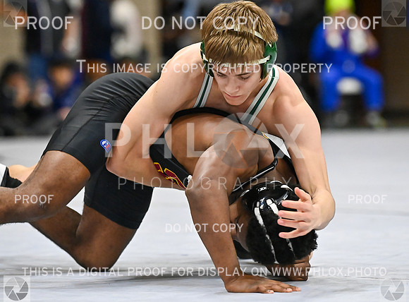 DLS_0785