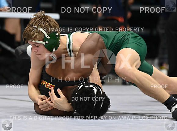 DLS_0764