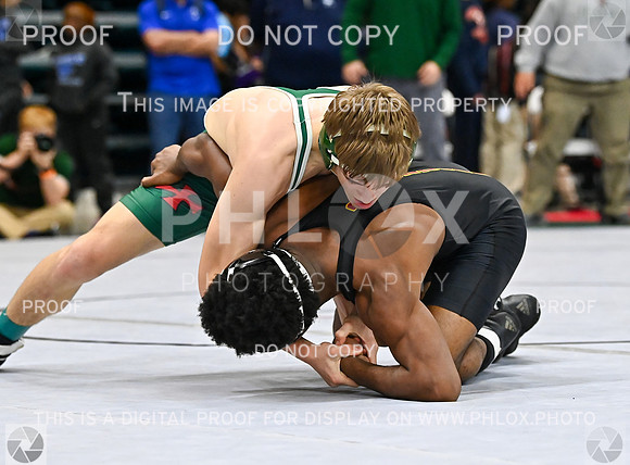 DLS_0776