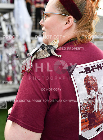 FDS_6709