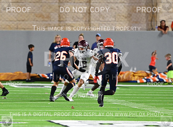 DLS_3101