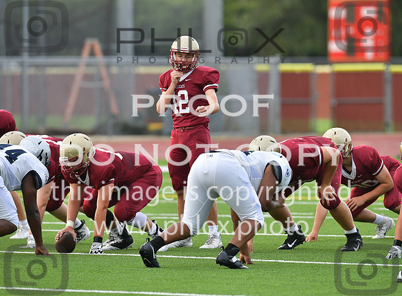TOM_4064