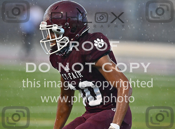 DLS_1679