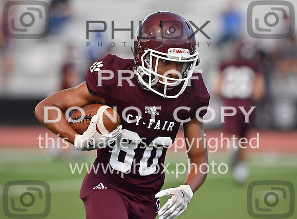 DLS_1609