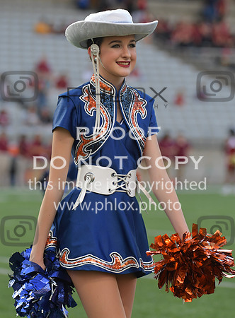 DSC_3464