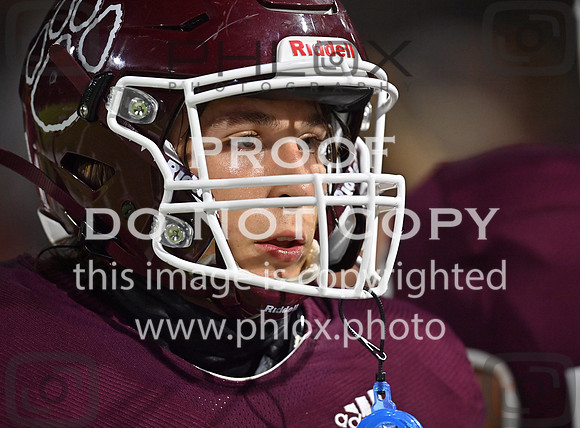 DLS_4329