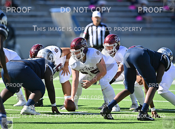 DLS_4530