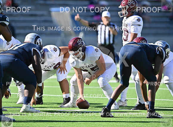 DLS_4516