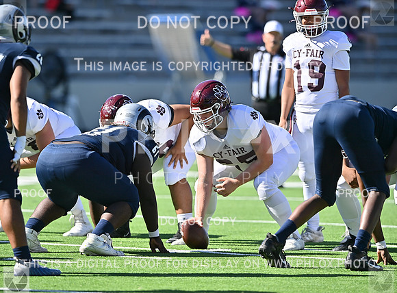 DLS_4522