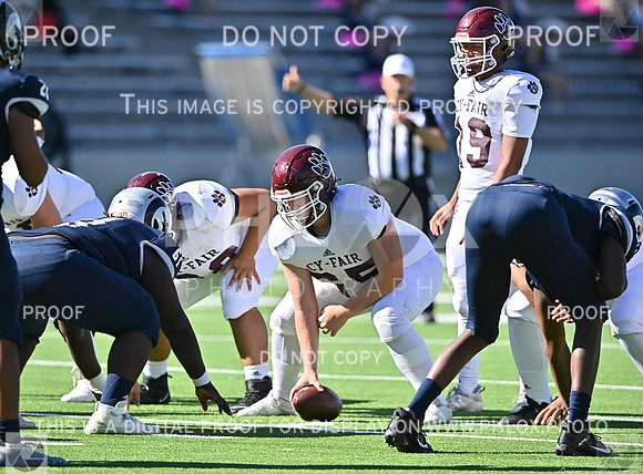 DLS_4518