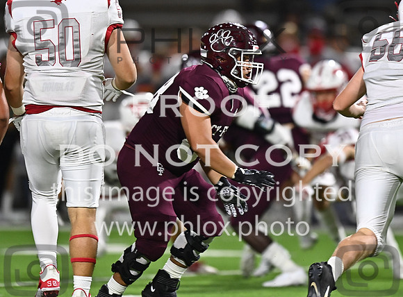 DLS_8284