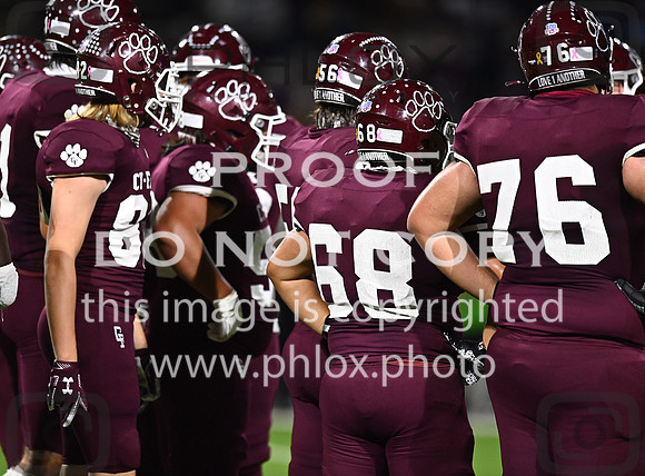 DLS_8255