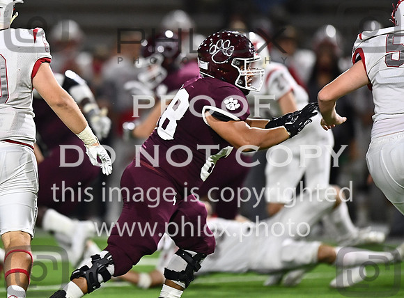 DLS_8285